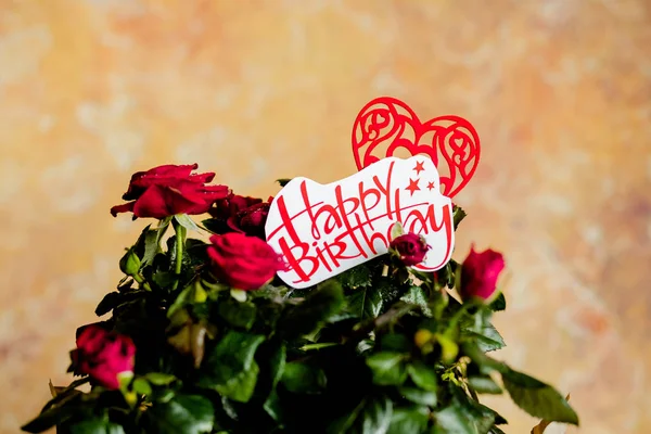 美しい赤 rose.red 花とメッセージ誕生日木製 background.birthday カードに赤いハートと赤いバラの花, — ストック写真