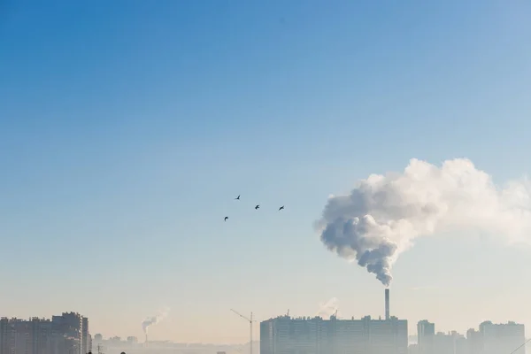 Umweltverschmutzung über der Stadt am frostigen Morgen, ökologisches Konzept. Achten Sie auf die Wolle. Klarer blauer Himmel und rauchende Pfeife am bewölkten Himmel. Städtische Industrieansichten mit Vögeln. — Stockfoto