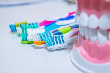 Toothbrush.whitening diş modeliyle. Diş Bakımı. diş fırçası Diş sağlıklı concept.various türleri. Güzel gülümseme concept.dental kesim diş, diş modeli