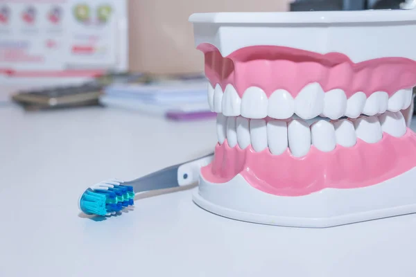 Modèle de dents et outil dentaire sur fond blanc.Concept de soins de santé. différents types de brosses à dents. beau concept sourire . — Photo