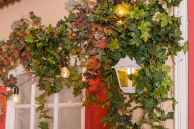 Ivy house pencere açılması sarılmış. yaban hayatı bitkiler ev pencere tırmanış. Retro fener bir kemer ile yayılan liana.climbing bitki yaprakları pencere outside.wall üzerinde bina yabani üzüm. Classica