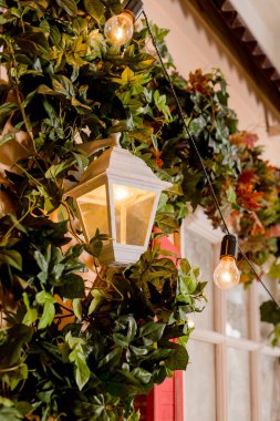 Ivy house pencere açılması sarılmış. yaban hayatı bitkiler ev pencere tırmanış. Retro fener bir kemer ile yayılan liana.climbing bitki yaprakları pencere outside.wall üzerinde bina yabani üzüm. Classica