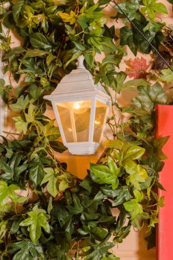 Ivy house pencere açılması sarılmış. yaban hayatı bitkiler ev pencere tırmanış. Retro fener bir kemer ile yayılan liana.climbing bitki yaprakları pencere outside.wall üzerinde bina yabani üzüm. Classica