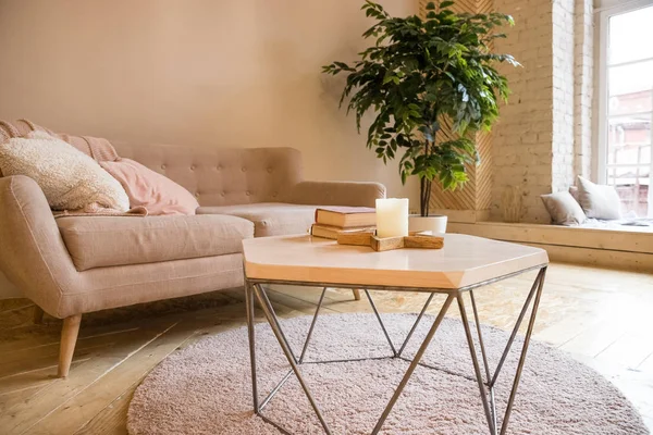 Sofa, coffee table and plant in living room styled scandinavian.couch and potted plant in a cozy living room interior.modern studio apartment in Scandinavian style.room in light colors with green