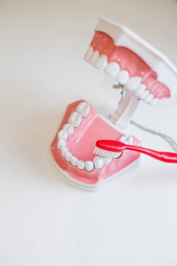 Diş fırçası ve çene kopyalama alanı. Tam hijyen tedavisi için diş hekimi ziyaret etmeli ve beyaz sağlıklı gülümseme tutmak. Büyük diş hijyeni ipuçları. Sağlıklı kal. Fırça sağlıklı gülümseme tutmak için. Düzenli kontrol