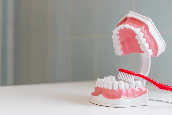 Tandenborstel en kaak kopie ruimte. U moet de tandarts bezoeken om een volledige hygiëne behandeling te ondergaan en witte gezonde glimlach te behouden. Geweldige tips voor tandhygiëne. Blijf gezond. Borstel om een gezonde glimlach te behouden. Regelmatige controle — Stockfoto