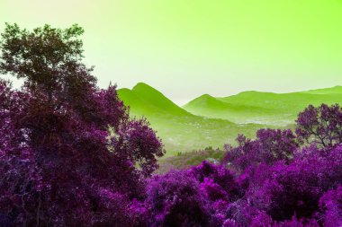 Orman manzara büyülü renk güneş ışınları. Yeşil dağlar. Fantezi koyu mor mor renkli orman ağaç manzara sahne. Yaratıcı gerçeklik arka planı. Soyut gelecek.