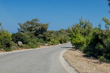 Dağlarda asfalt yol sarma. Nefes kesen manzara ve doğa. sarma serpantin. Dağlara giden yol. Güneşli bir sabah. Bulutlar olmadan mavi gökyüzü. boş yol. Yol manzarası. Seyahat konsepti.