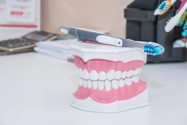 Tandenborstel, schone tanden denture, tandheelkundige snede van de tand, tand model, en tandheelkunde instrumenten in de tandartsen kantoor. Gezond zorgconcept — Stockfoto