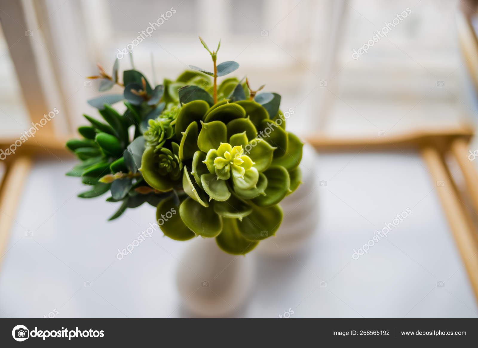 Vintage Home Decor Houseplants Green Succulents White Ceramic