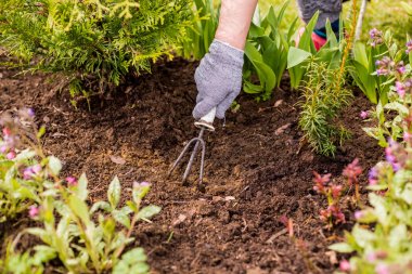 sıcak bir yaz gününde bahçede çapa otlar bir kadın el görünümü, ilkbahar toprak hazırlanmasında çim, bahçe ve bahçede temizlik işleri ot. Takım Çapa ile Bahçıvan El