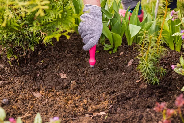 Vista di una mano zappa erbacce donne in giardino in una calda giornata estiva, erbaccia erba, giardino e lavori di pulizia in giardino nella preparazione del terreno primaverile. — Foto Stock