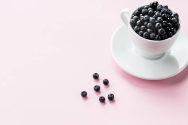 Kupada olgun yaban mersini. güzel yaz hasat sezonu kavramı. Taze yaban mersini. seramik Kupası yaban mersini ile dolu. Seçici odak. Sağlıklı ve lezzetli atıştırmalık, organik gıda. Kopyalama alanı