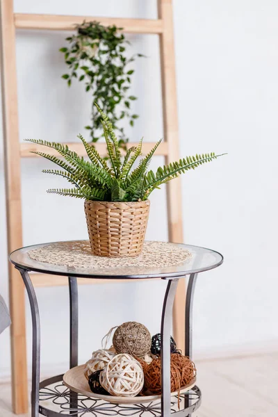 Stijlvolle minimalistische kleine glazen tafel, huis plant. Kopieer ruimte. Home decor. Scandinavische stijl hipster interieur, gezellige loft kamer — Stockfoto