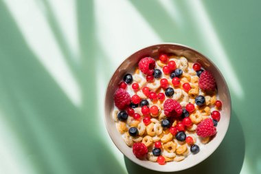 Yunan yoğurdu, süt, granola ve dut karışımı. Üst görünümü.diyet kahvaltı - yulaf gevreği kase, çilek ve taze süt yeşil arka plan üzerinde. sağlık ve diyet kavramı. Müsli ve ahududu ve yaban mersini.