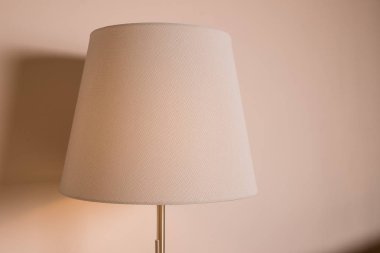 Pastel duvar arka planda şık zemin lambası. İç tasarım fikri. Sıcak standart lamba, ayakta lamba. Rahat altın ışık ile parlayan bir bej gölge ile Lamba. Kopyalama alanı