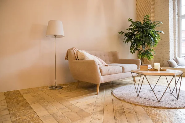 Room in a loft style. Room interior with sofa,small table and little tree. There is a sofa with small table with a books and candles on it,home plants . On the floor there is a parquet and carpet. — Stock Photo, Image