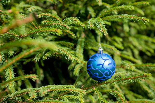 Karácsonyfa dekoráció. Karácsonyi labdát fenyőág. Zöld fenyő ágak és kék karácsonyi labdát. Boldog új évet, téli ünnepek. Új év baubles. lucfenyő ág egy karácsonyi labdát — Stock Fotó