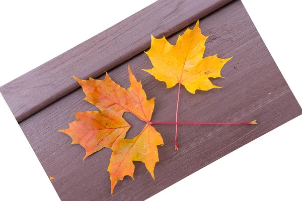 Hoja roja y naranja de otoño con corazón. Otoño amor. Hola octubre, noviembre. ambiente otoño fondo. hojas de arce, corazón. concepto de tiempo de otoño, temporada de otoño . —  Fotos de Stock