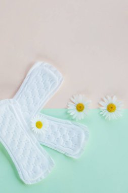 Kadın hijyenik pedleri ve Pembe Arkaplan 'daki Gerbera Daisy Çiçeği, Kadın Hijyen Konsepti. Kritik günler, adet. Kopya alanı. Her gün hassas koruma.