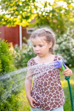 Kız kulübenin yakınındaki çimenlikte çiçekleri suluyor. Su püskürtücü ve hortum tutan tatlı bir kız. Bahçede çiçekleri sulayan bir çocuk. Güneşli bir günde bahçe hortumu kullanan bir çocuk. Annemin küçük yardımcısı..
