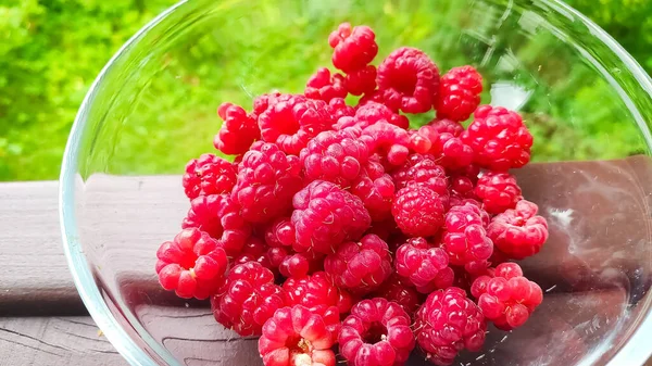 Fresh organic ripe raspberry in glass bowl, selective focus.sweet red berries — Stock Photo, Image