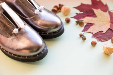 Pastel arka planda parlak botlarla sonbahar görünüşü. Sonbahar konsepti, moda kompozisyonu. Düşmüş yapraklı sıradan botlar. Sonbahar konsepti. İncili şık ayakkabılar. Kadın ayakkabısı. Boşluğu kopyala.