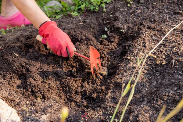 Mano delle donne giardiniere con strumento Hoeing terra in giardino. Giardino concetto di cura del suolo. Agricoltore mano nella mano guanto allenta la terra.Farm lavora in estate. — Foto Stock