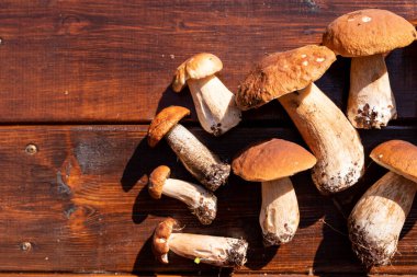 Orman yenilebilir mantarlar. Tahta arka planda yeni toplanmış boletus. Boletus Edulis 'i ahşap arka planda, kırsal masada. Lezzetli organik mantar pişiriyorum. Gurme Gıda Seçici Odaklanma.
