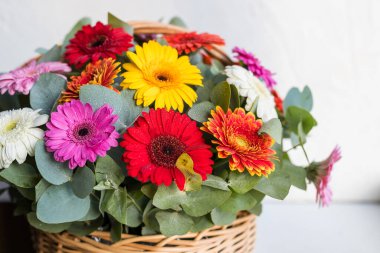 Çiçek buketi, papatya çayı, karanfil, ahududu gerbera yaz buketi beyaz arka planda yalıtılmış.