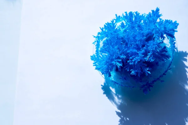 Cristais químicos azuis formando. agulha como cristais de uréia, carbamida, formando por evaporação de água. cristal de sal azul feito à mão. Criatividade e ciência das crianças — Fotografia de Stock