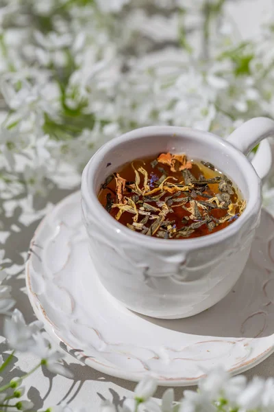 Frühlingskonzept. eine Tasse Kräutertee. — Stockfoto