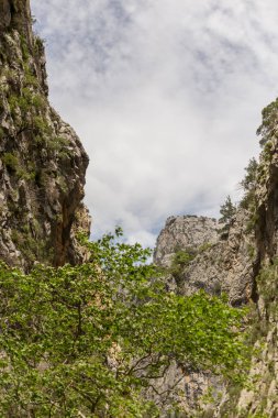 Kopyalama alanı ile dikey dağ manzarası 