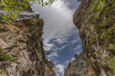 Kopyalama alanı ile yatay dağ manzarası