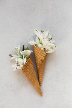 Yaz kavramı. İçinde beyaz çiçekler olan dondurma külahı..