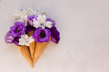 Yaz ya da bahar konsepti. Çiçekli dondurma külahı.