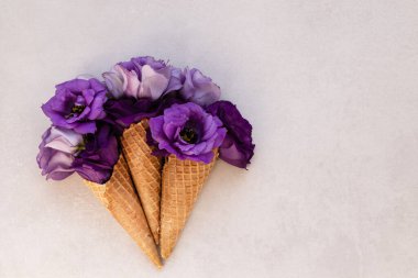 Yaz ya da bahar konsepti. Çiçekli dondurma külahı.