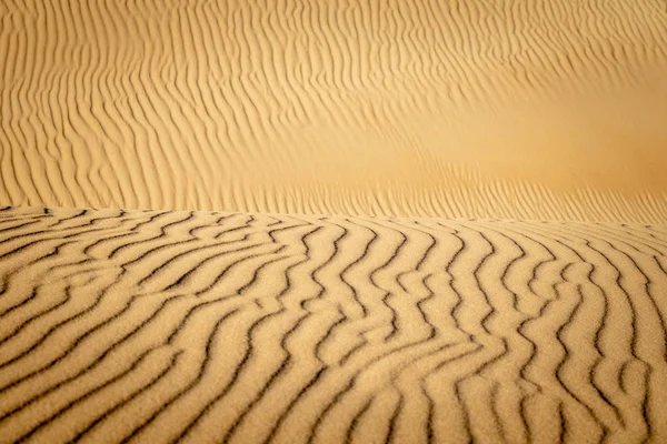 beautiful wavy lines carved into the sand dunes in Bolonia, Spain