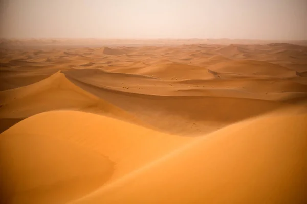 Fantastiskt Landskap Med Vackra Sanddyner Sahara Öknen — Stockfoto