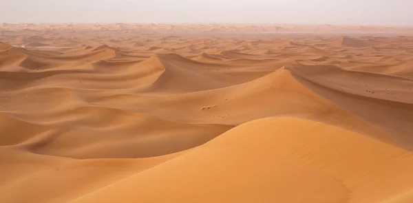 Fantastiskt Landskap Med Vackra Sanddyner Sahara Öknen — Stockfoto