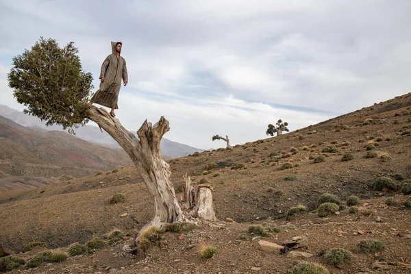 Niesamowity Widok Człowieka Stylu Arabskim Szaty Stojący Bagażniku Starego Baobabu — Zdjęcie stockowe