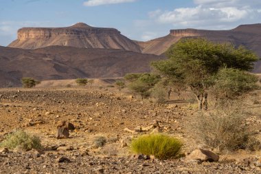 Güneşli bir günde Fas 'ın dağlık manzarası