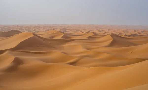 Vue Panoramique Sur Les Dunes Sable Coucher Soleil Sahara Desert — Photo