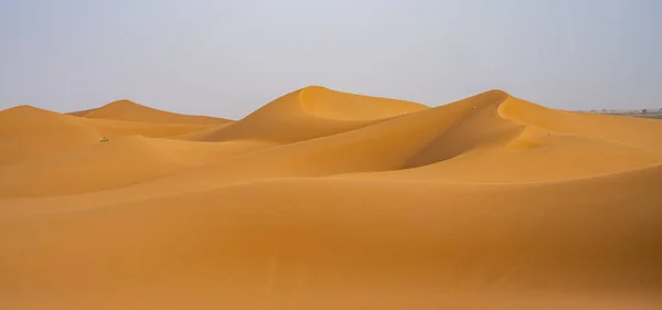 日落时分沙丘丘陵的风景 撒哈拉沙漠 摩洛哥 — 图库照片