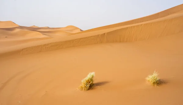 Vue Panoramique Sur Les Dunes Sable Coucher Soleil Sahara Desert — Photo