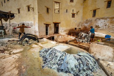 Fes, Fas'ta eski tabakhanede geleneksel şekilde deri tinting işçiler 