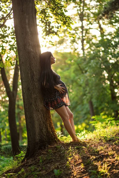 Embarazada Joven Apoyada Árbol Parque Atardecer Rodeada Luz Romántica — Foto de Stock