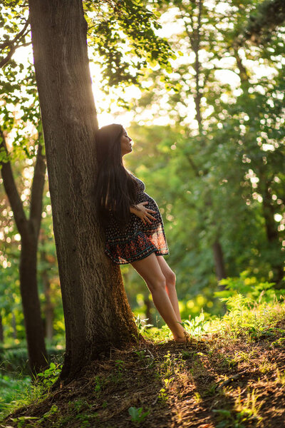 Pregnant Young Woman Leaning Tree Park Sunset Surrounded Romantic Light Royalty Free Stock Photos