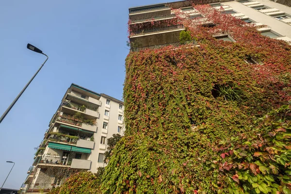 Milão Lombardia Itália Edifícios Residenciais Outono Com Plantas Rastejantes Perto — Fotografia de Stock