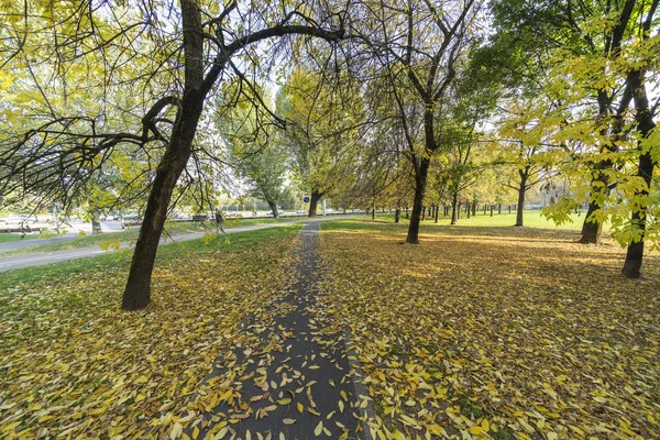 Mediolan Lombardia Włochy Park Znany Jako Parco Nord Słoneczne Jesienne — Zdjęcie stockowe